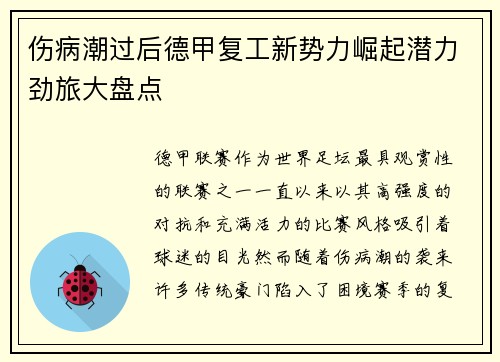 伤病潮过后德甲复工新势力崛起潜力劲旅大盘点