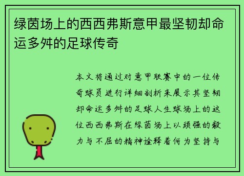 绿茵场上的西西弗斯意甲最坚韧却命运多舛的足球传奇